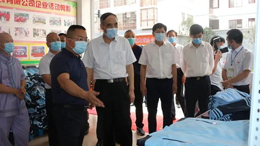 全國政協(xié)副主席辜勝阻率調研組到河池市環(huán)江毛南族自治縣開(kāi)展專(zhuān)題調研